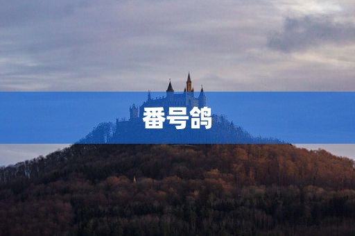 番号鸽