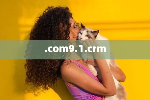 .com9.1.crm
