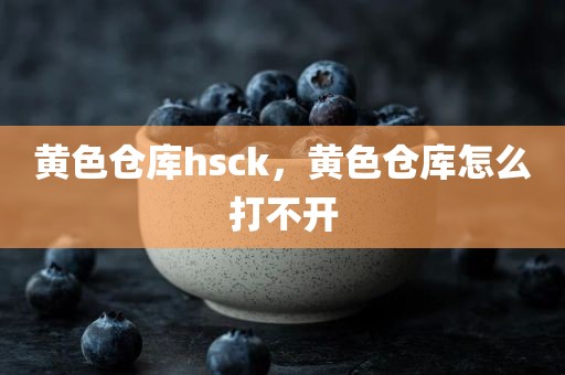 黄色仓库hsck，黄色仓库怎么打不开