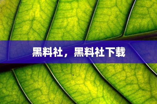 黑料社，黑料社下载