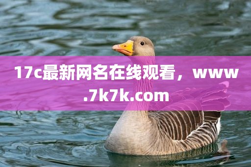 17c最新网名在线观看，www.7k7k.com