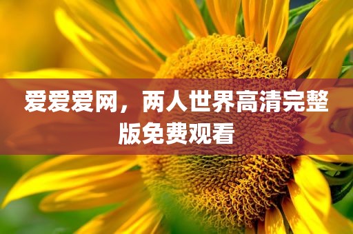 爱爱爱网，两人世界高清完整版免费观看