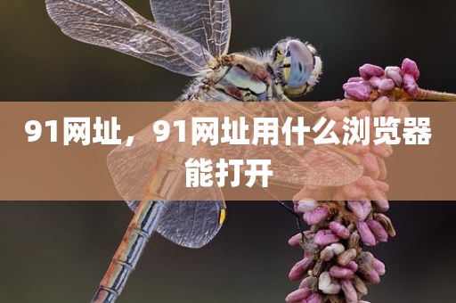 91网址，91网址用什么浏览器能打开
