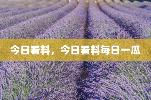今日看料，今日看料每日一瓜