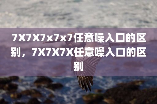 7X7X7x7x7任意噪入口的区别，7X7X7X任意噪入口的区别