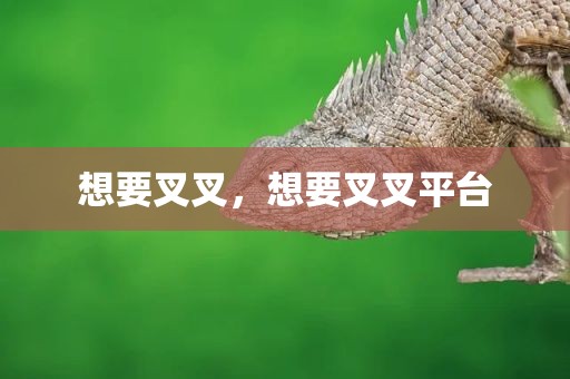 想要叉叉，想要叉叉平台