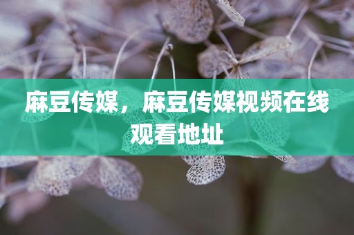 麻豆传媒，麻豆传媒视频在线观看地址