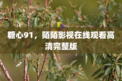 糖心91，陌陌影视在线观看高清完整版