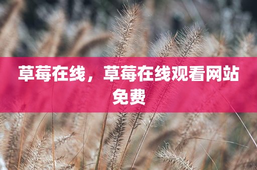 草莓在线，草莓在线观看网站免费