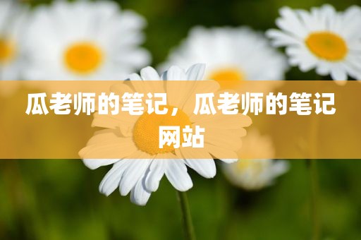 瓜老师的笔记，瓜老师的笔记网站