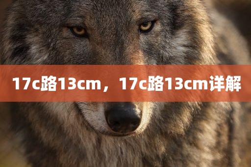 17c路13cm，17c路13cm详解