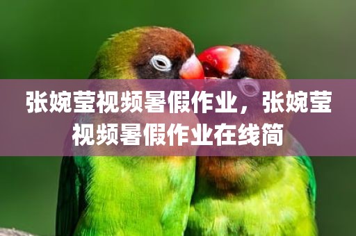 张婉莹视频暑假作业，张婉莹视频暑假作业在线简