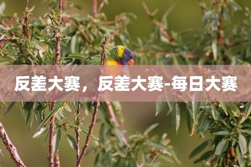 反差大赛，反差大赛-每日大赛