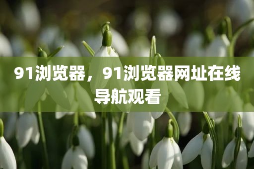 91浏览器，91浏览器网址在线导航观看