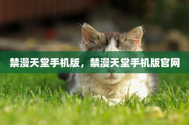 禁漫天堂手机版，禁漫天堂手机版官网