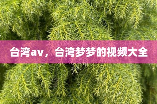台湾av，台湾梦梦的视频大全