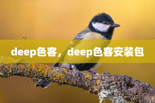 deep色客，deep色客安装包