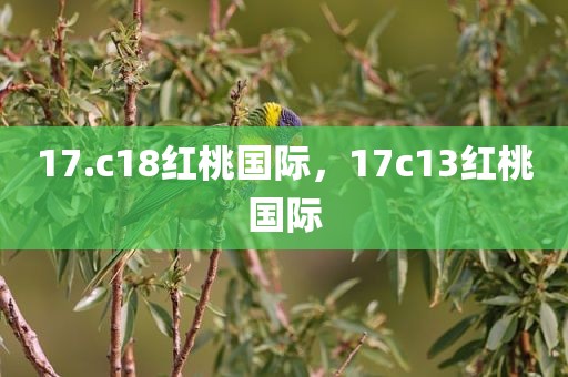 17.c18红桃国际，17c13红桃国际