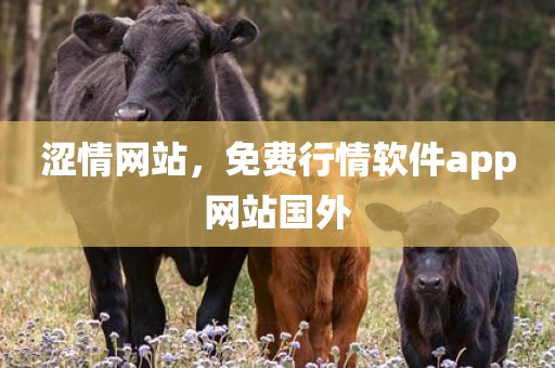 涩情网站，免费行情软件app网站国外
