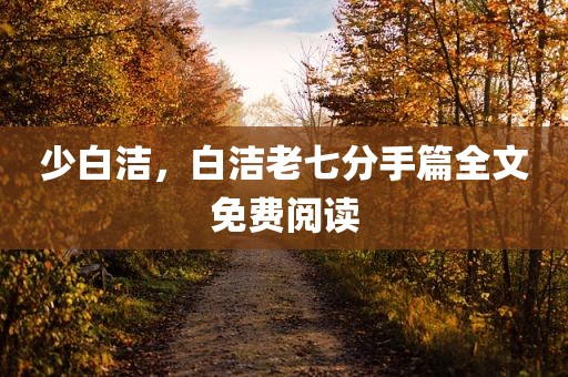 少白洁，白洁老七分手篇全文免费阅读