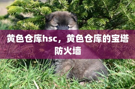 黄色仓库hsc，黄色仓库的宝塔防火墙