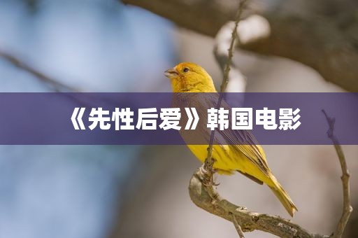 《先性后爱》韩国电影