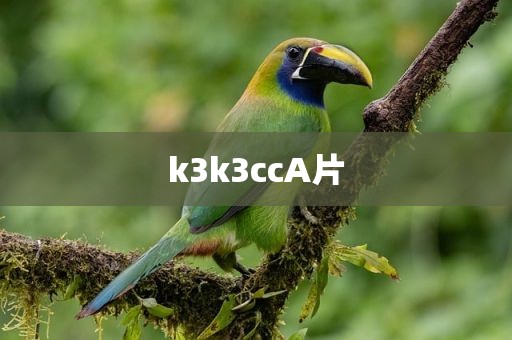 k3k3ccA片