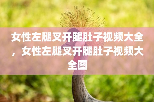 女性左腿叉开腿肚子视频大全，女性左腿叉开腿肚子视频大全图