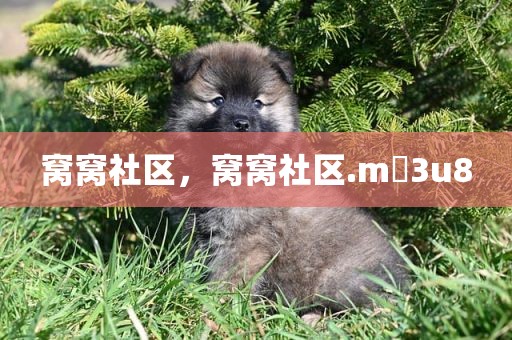 窝窝社区，窝窝社区.m 3u8