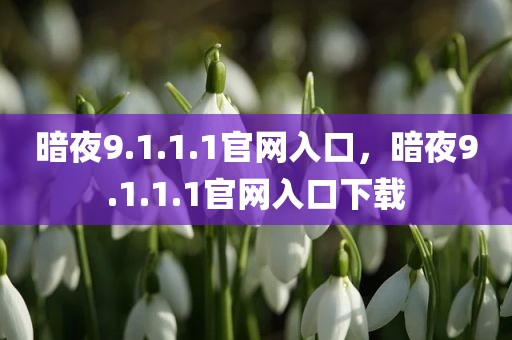 暗夜9.1.1.1官网入口，暗夜9.1.1.1官网入口下载