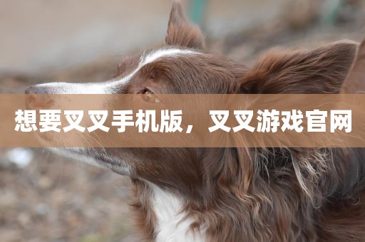想要叉叉手机版，叉叉游戏官网