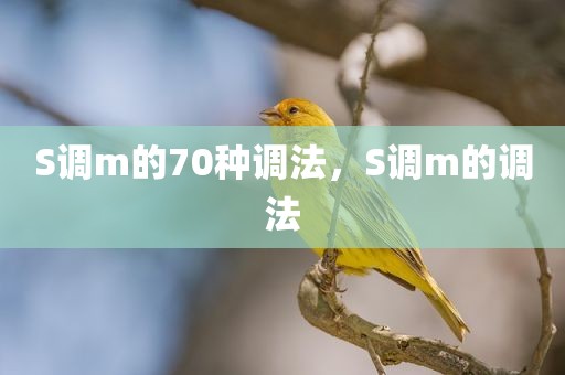 S调m的70种调法，S调m的调法