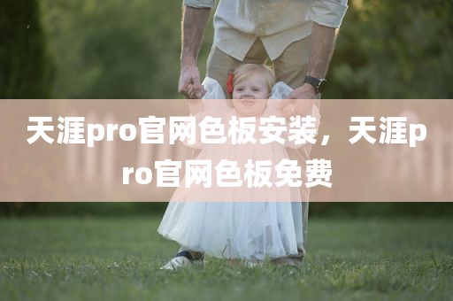 天涯pro官网色板安装，天涯pro官网色板免费