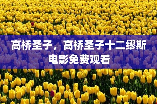 高桥圣子，高桥圣子十二缪斯电影免费观看