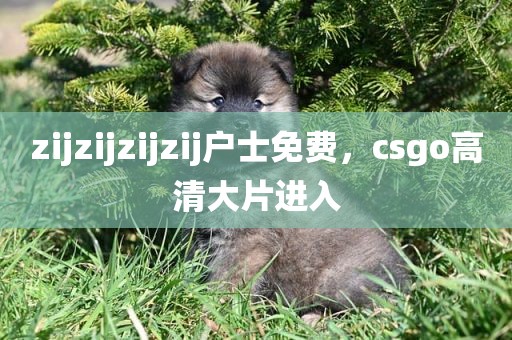 zijzijzijzij户士免费，csgo高清大片进入