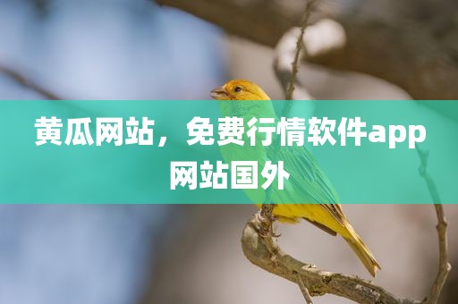 黄瓜网站，免费行情软件app网站国外