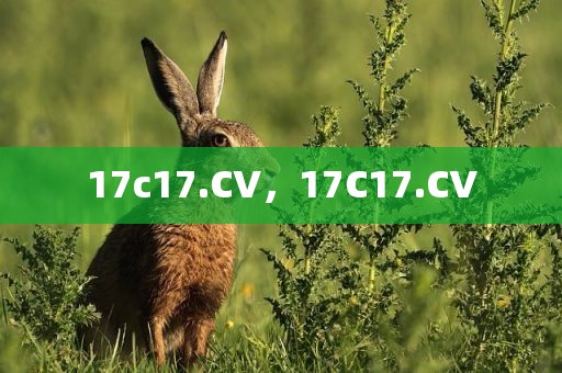 17c17.CV，17C17.CV