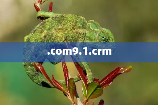 .com9.1.crm