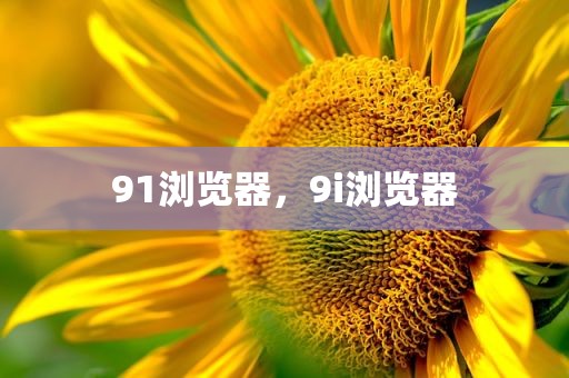 91浏览器，9i浏览器