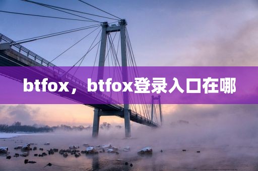 btfox，btfox登录入口在哪