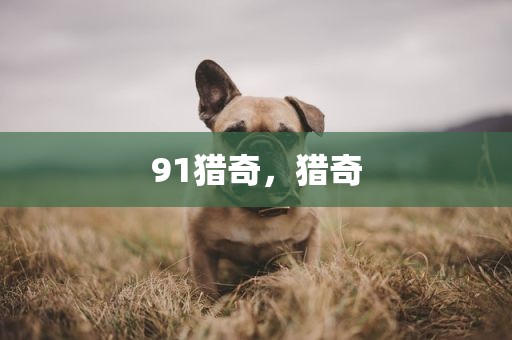 91猎奇，猎奇