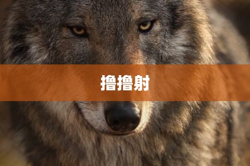 撸撸射