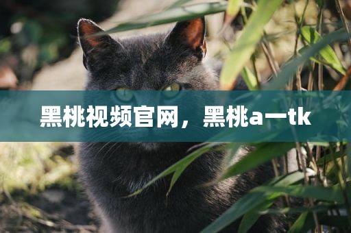 黑桃视频官网，黑桃a一tk