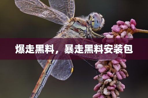 爆走黑料，暴走黑料安装包
