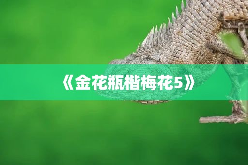 《金花瓶楷梅花5》