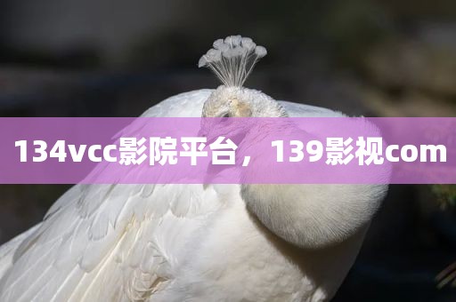 134vcc影院平台，139影视com