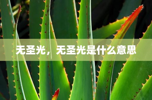 无圣光，无圣光是什么意思