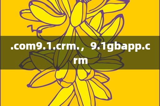 .com9.1.crm.，9.1gbapp.crm