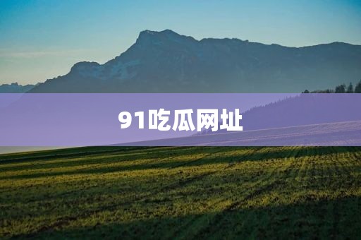 91吃瓜网址