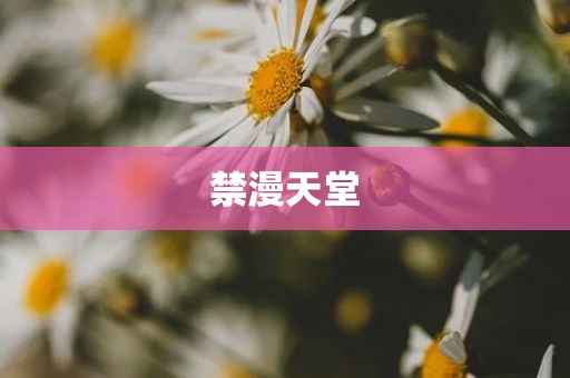 禁漫天堂